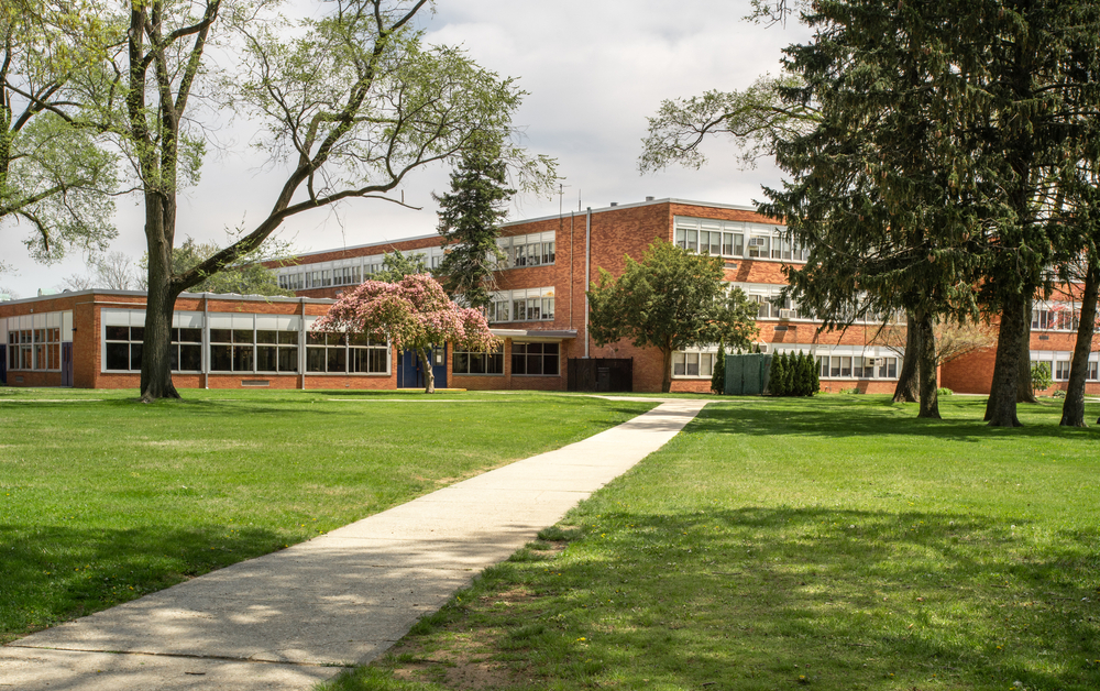 Schools & Universities